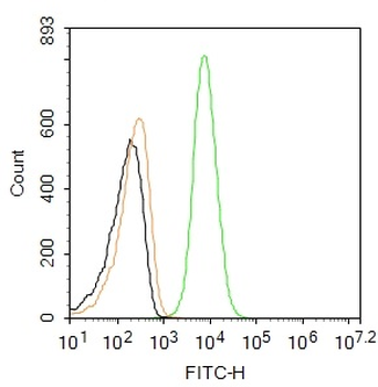 CLEC2D Rabbit Polyclonal Antibody (FITC)
