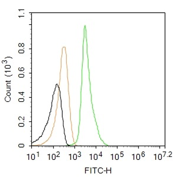 Phospho-H2AX (Ser139) Rabbit Polyclonal Antibody (FITC)