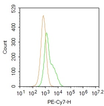 Alpha smooth muscle Actin Rabbit Polyclonal Antibody (PE-Cy7)