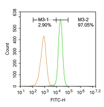 NCOA3 Rabbit Polyclonal Antibody (FITC)