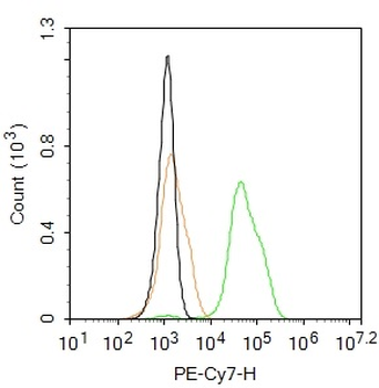 TLR4 Rabbit Polyclonal Antibody (PE-Cy7)