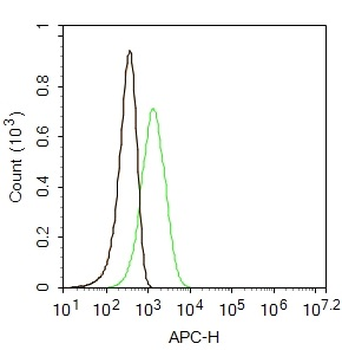 TLR4 Rabbit Polyclonal Antibody (Cy3)