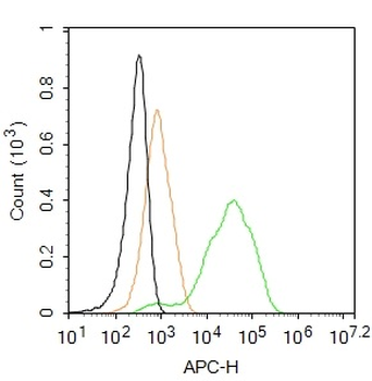C5b-9 Rabbit Polyclonal Antibody (APC)