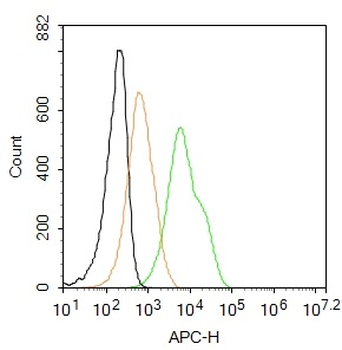 CD163 Rabbit Polyclonal Antibody (APC)