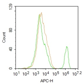 FGFR2 Rabbit Polyclonal Antibody (APC)