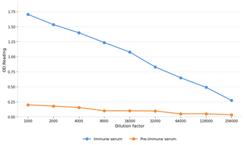 ERBB2 Antibody