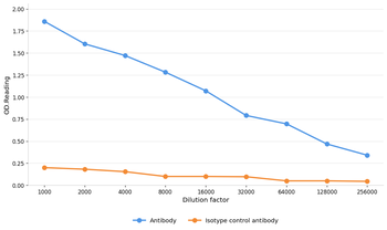 Acetyl Lysine antibody