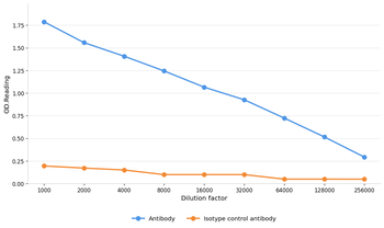 IDE Antibody