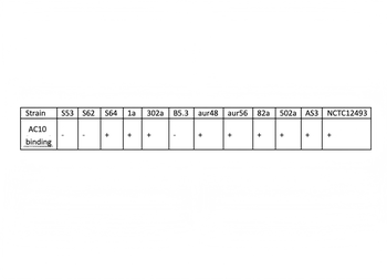 MRSA (PBP2a) Antibody (FITC)