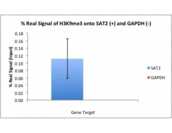 Histone H3 (tri methyl K9) Mouse Monoclonal Antibody
