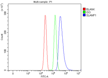 SLAM/CD150/SLAMF1 Rabbit Polyclonal Antibody