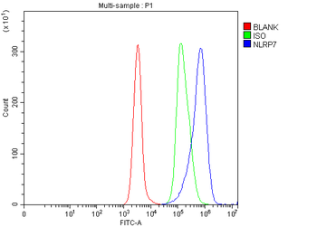 NLRP7 Rabbit Polyclonal Antibody