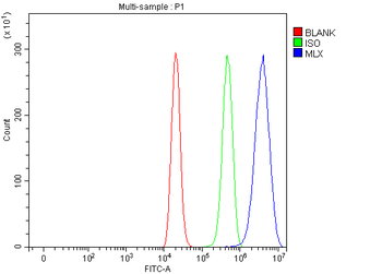 MLX Rabbit Polyclonal Antibody