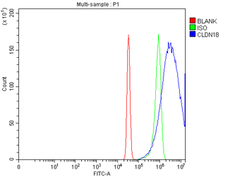 Claudin18/CLDN18 Rabbit Polyclonal Antibody