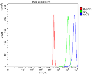 AKT1,2,3 Antibody