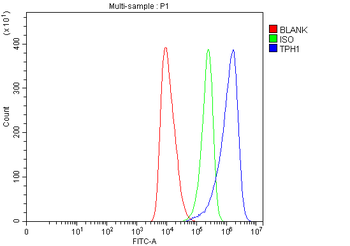 Tryptophan Hydroxylase/TPH1 Rabbit Polyclonal Antibody