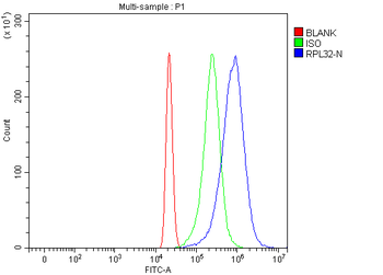 RPL32 Antibody