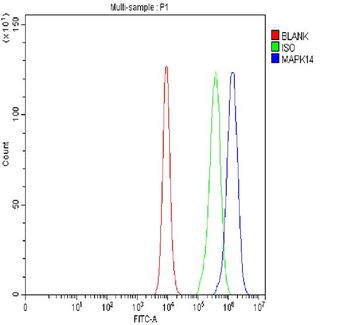 p38 alpha/MAPK14 Rabbit Polyclonal Antibody