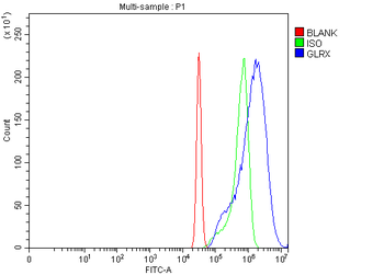 Glutaredoxin 1/GLRX Antibody