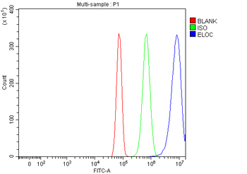 Elongin-C/ELOC Antibody