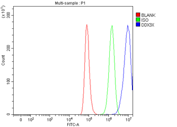 DDX3/DDX3X Rabbit Polyclonal Antibody