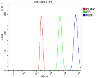 Pleckstrin/PLEK Rabbit Polyclonal Antibody