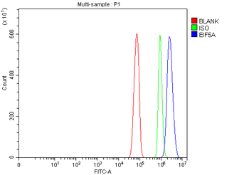EIF5A Antibody