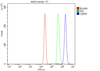 CENPI Rabbit Polyclonal Antibody