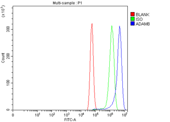 MS2/ADAM8 Rabbit Polyclonal Antibody