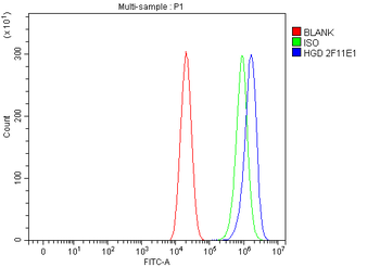 HGD Mouse Monoclonal Antibody