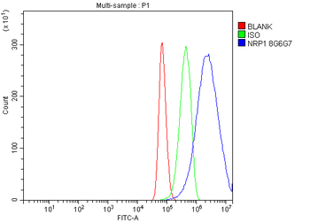 Neuropilin 1 Mouse Monoclonal Antibody