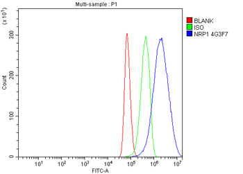 Neuropilin 1 Mouse Monoclonal Antibody