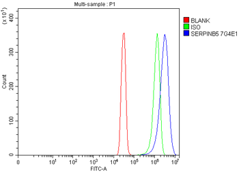 MASPIN Mouse Monoclonal Antibody