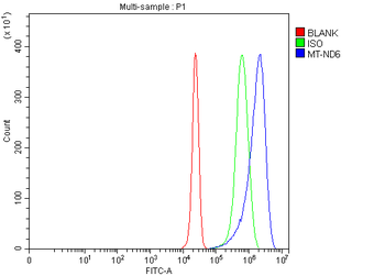 ND6/MT-ND6/MT Rabbit Polyclonal Antibody