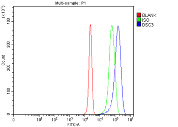Desmoglein 3/PVA/DSG3 Rabbit Polyclonal Antibody