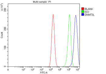 DNMT3L Rabbit Polyclonal Antibody