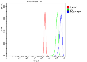 CD147/Emmprin Antibody (monoclonal, 7H5E7)