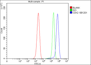 Cdk2 Mouse Monoclonal Antibody