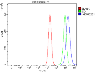 HGS Antibody (monoclonal, 6C2E1)