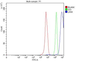LHX4 Rabbit Polyclonal Antibody