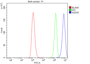 ALDH3A1 Rabbit Polyclonal Antibody