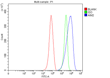 Aim2 Rabbit Polyclonal Antibody