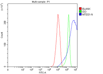 MIM/MTSS1 Antibody