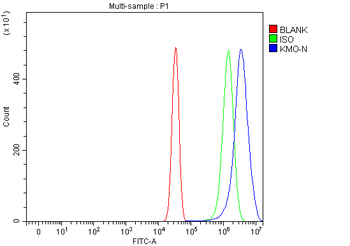 KMO Rabbit Polyclonal Antibody