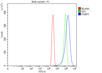 FKBP1A/1B Rabbit Polyclonal Antibody