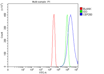 CEP250 Rabbit Polyclonal Antibody