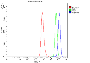 ABHD4 Rabbit Polyclonal Antibody