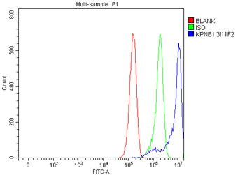 KPNB1 Antibody (monoclonal, 3I11F2)