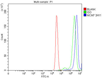 MCM7 Mouse Monoclonal Antibody