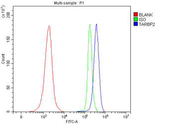 TRBP/TARBP2 Antibody